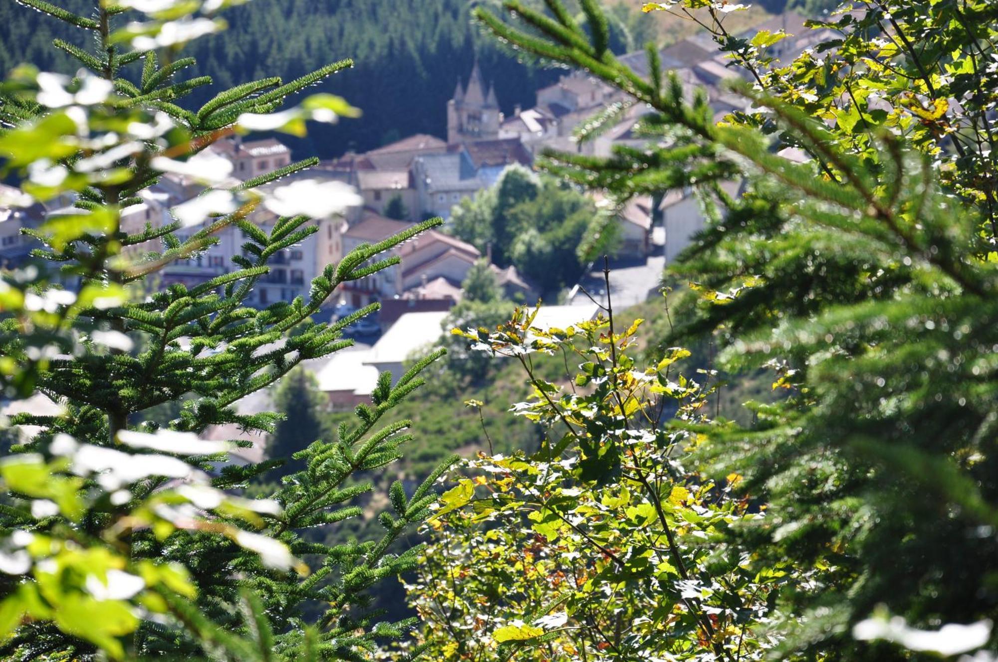 Logis Hotel Restaurant Les Cevennes Saint-Cirgues-en-Montagne Екстериор снимка