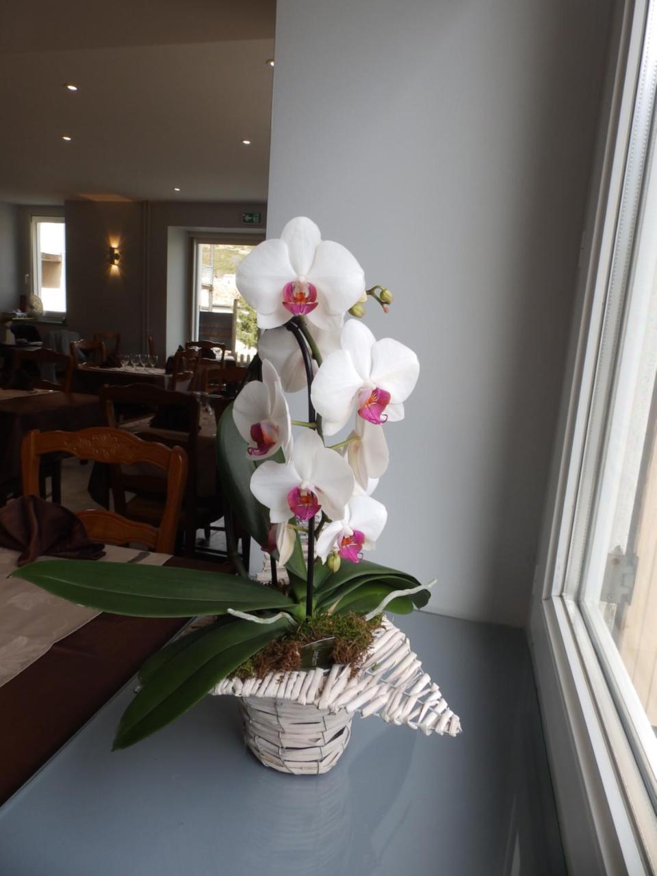 Logis Hotel Restaurant Les Cevennes Saint-Cirgues-en-Montagne Екстериор снимка
